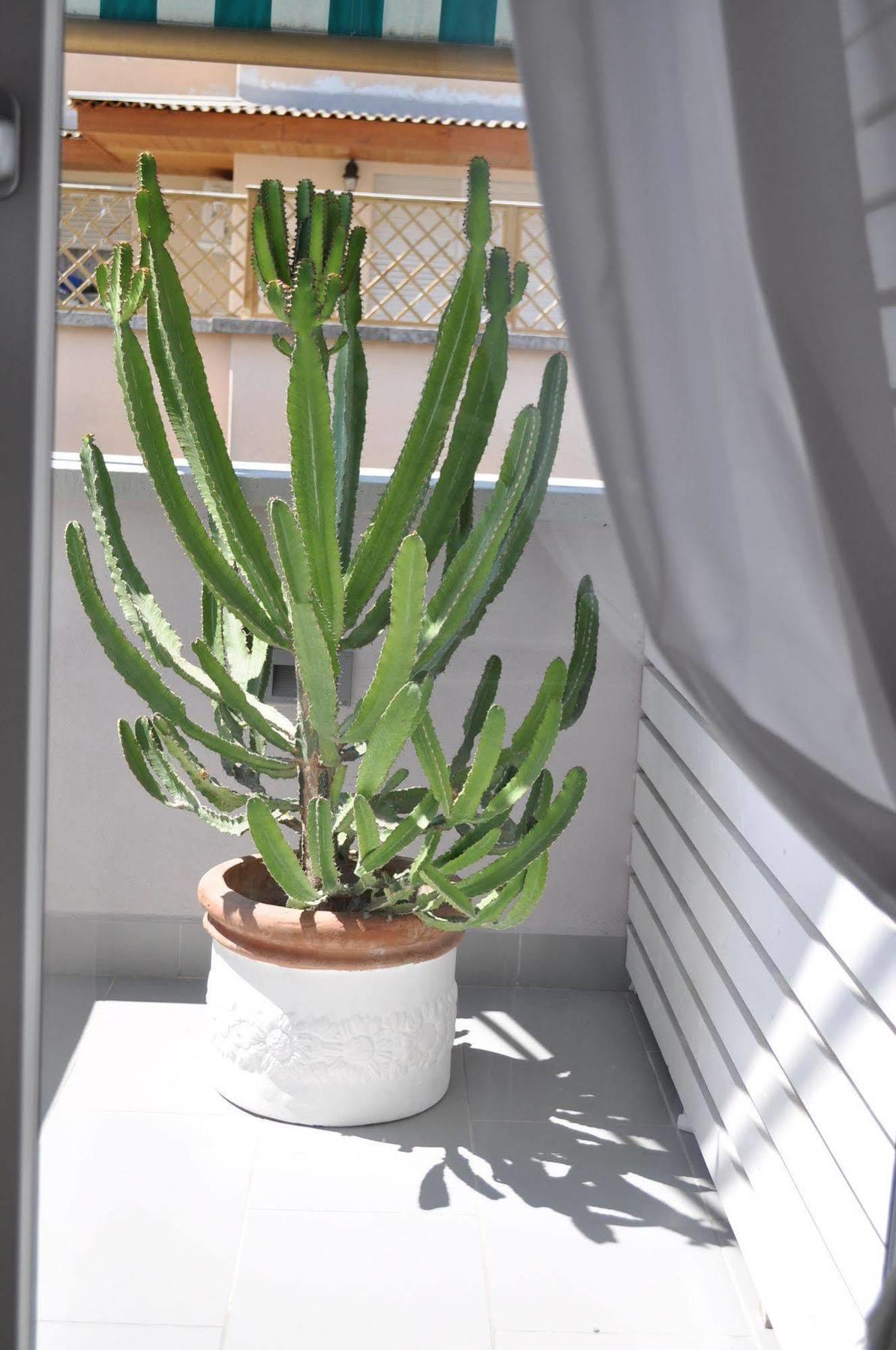 Glamroom Luxury Terrace Affittacamere