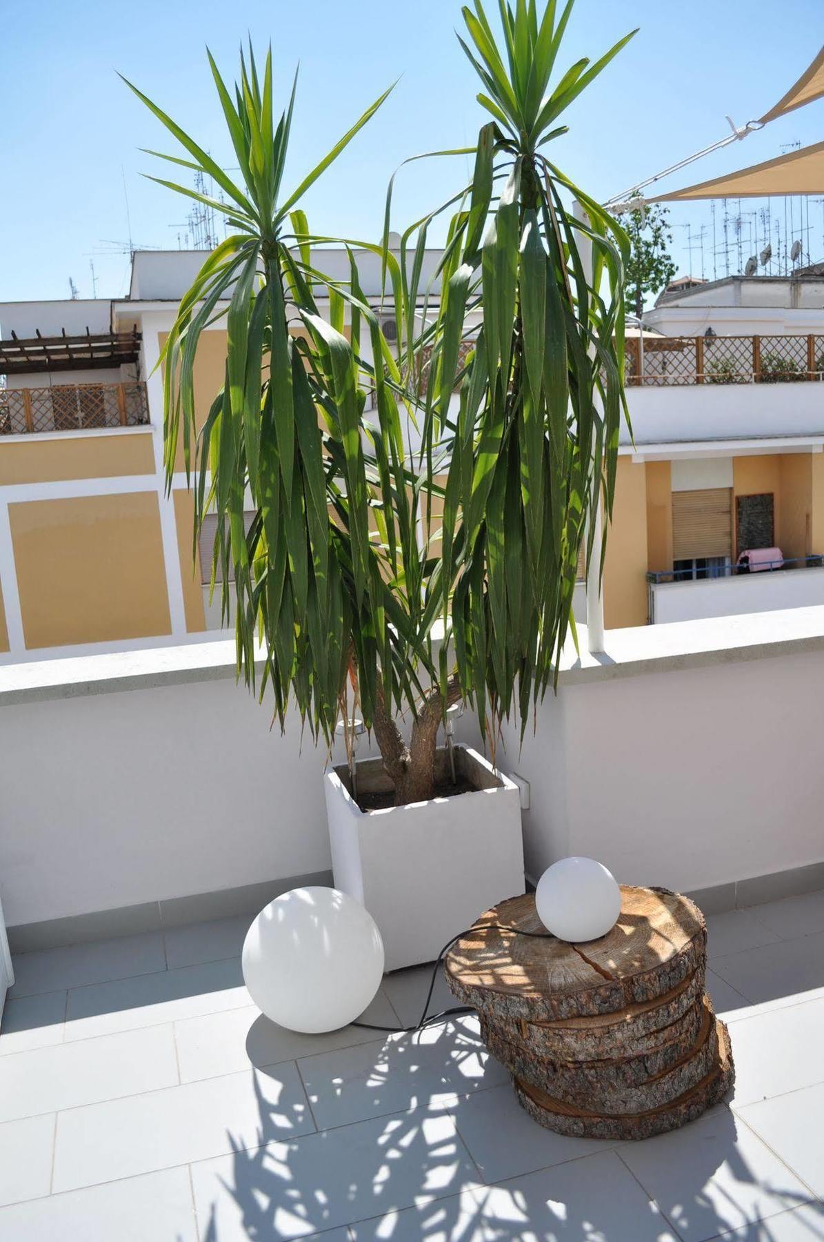 Affittacamere Glamroom Luxury Terrace