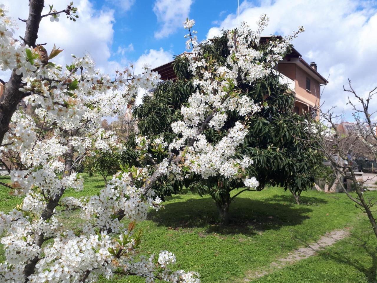 Bed & Breakfast Il Giardino Di Gabri Rome