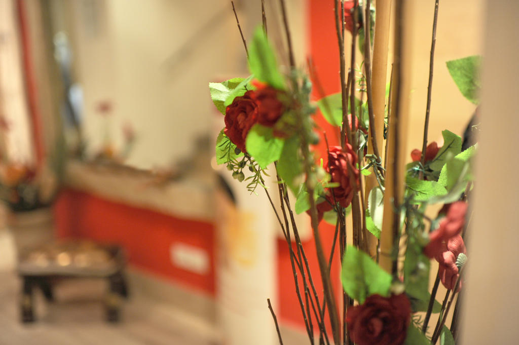 Relais San Pietro 3* Rome