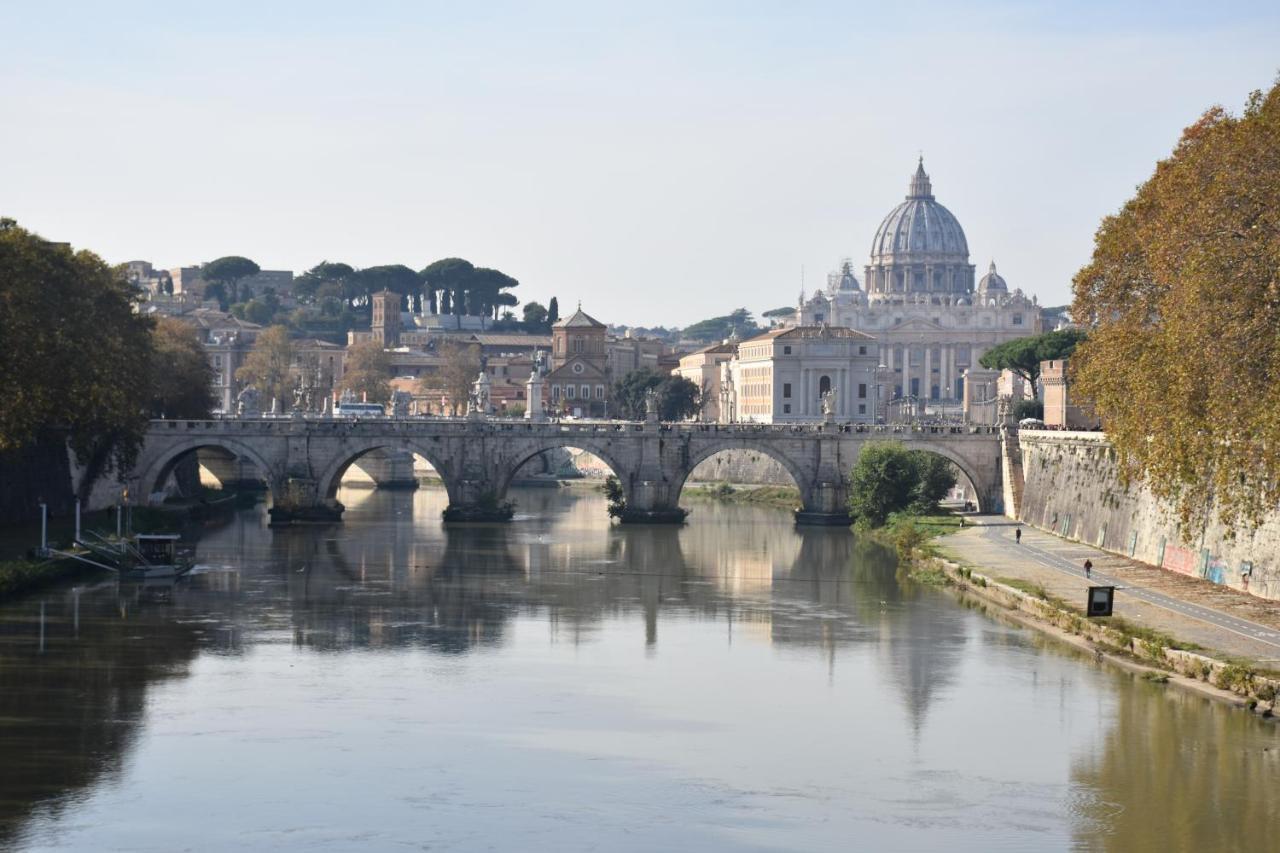 Domus Catone 21 Appartamento Roma