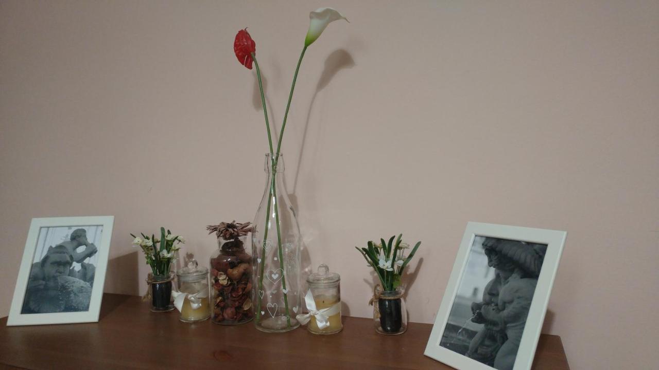 Guest house Dreaming Navona