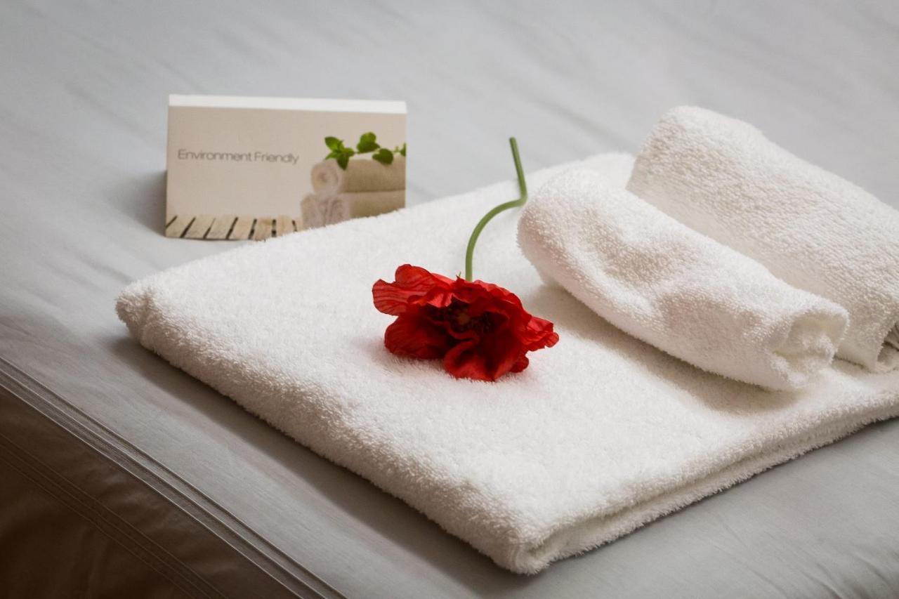 Filomena Arthouse Bed & Breakfast Rome