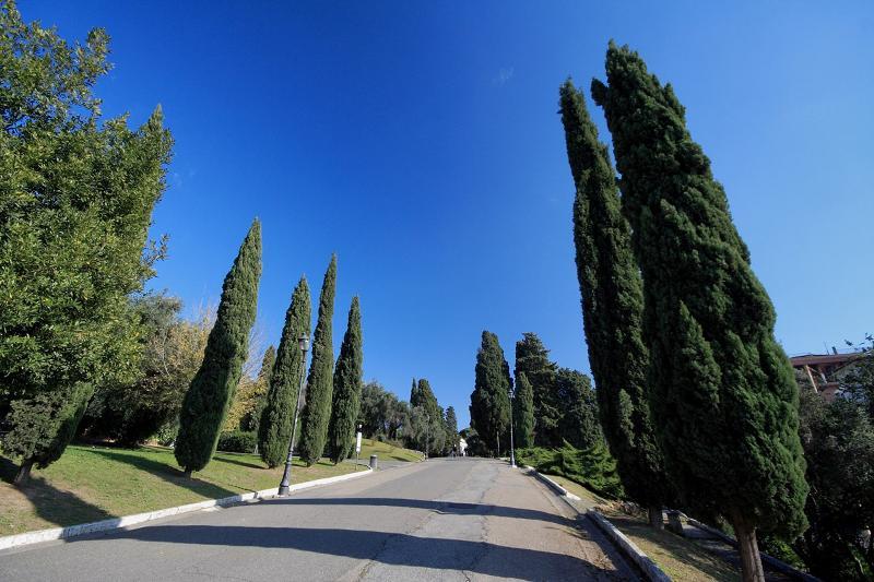 Colosseo Gardens - My Extra Apartment *