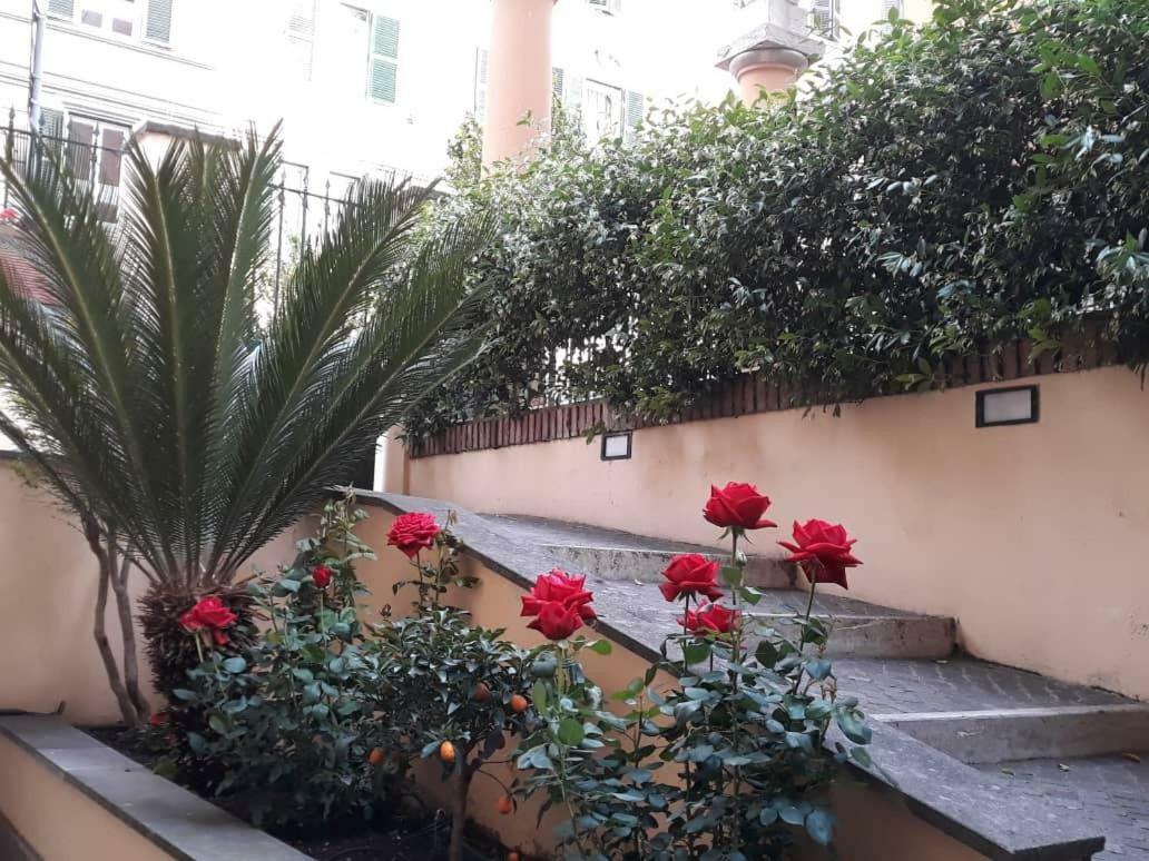 Guest house Rosa Rome