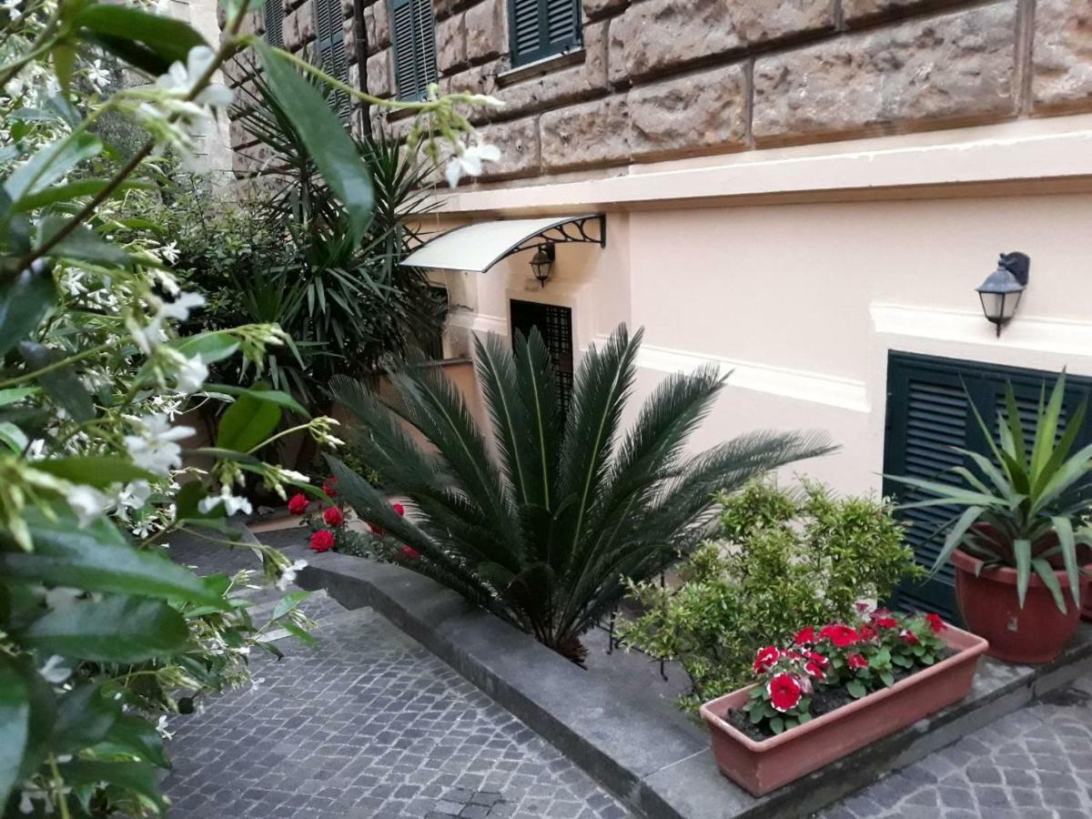 Rosa Guest house *