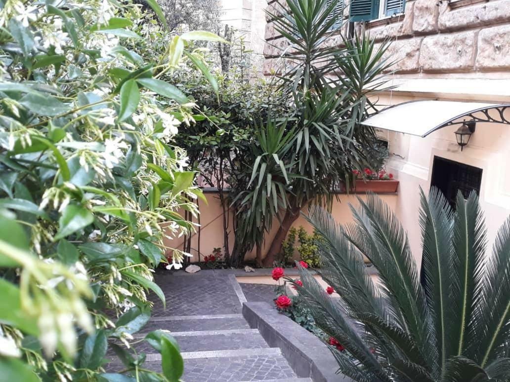 Rosa Guest house *