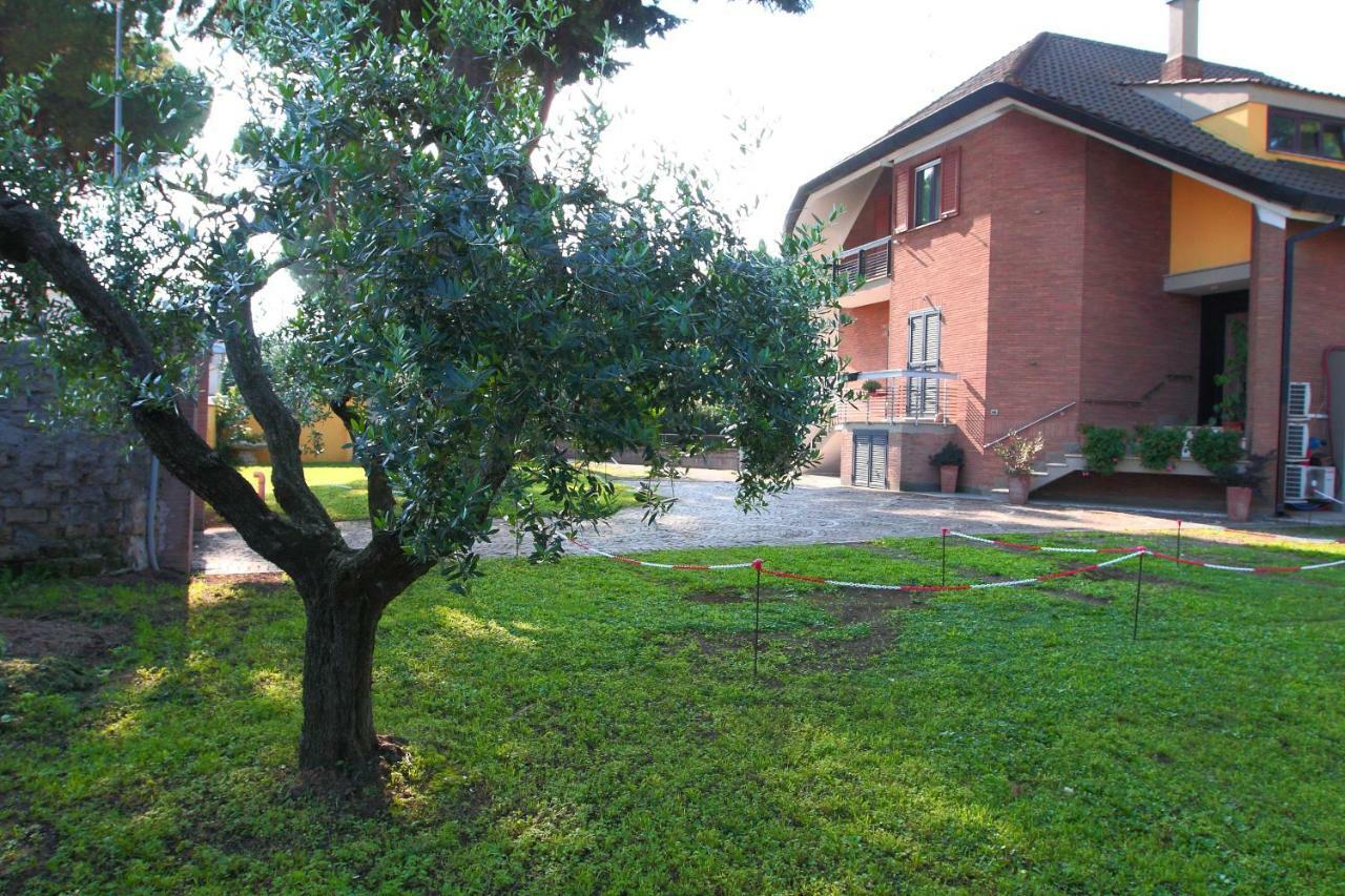 My Domus Guest house