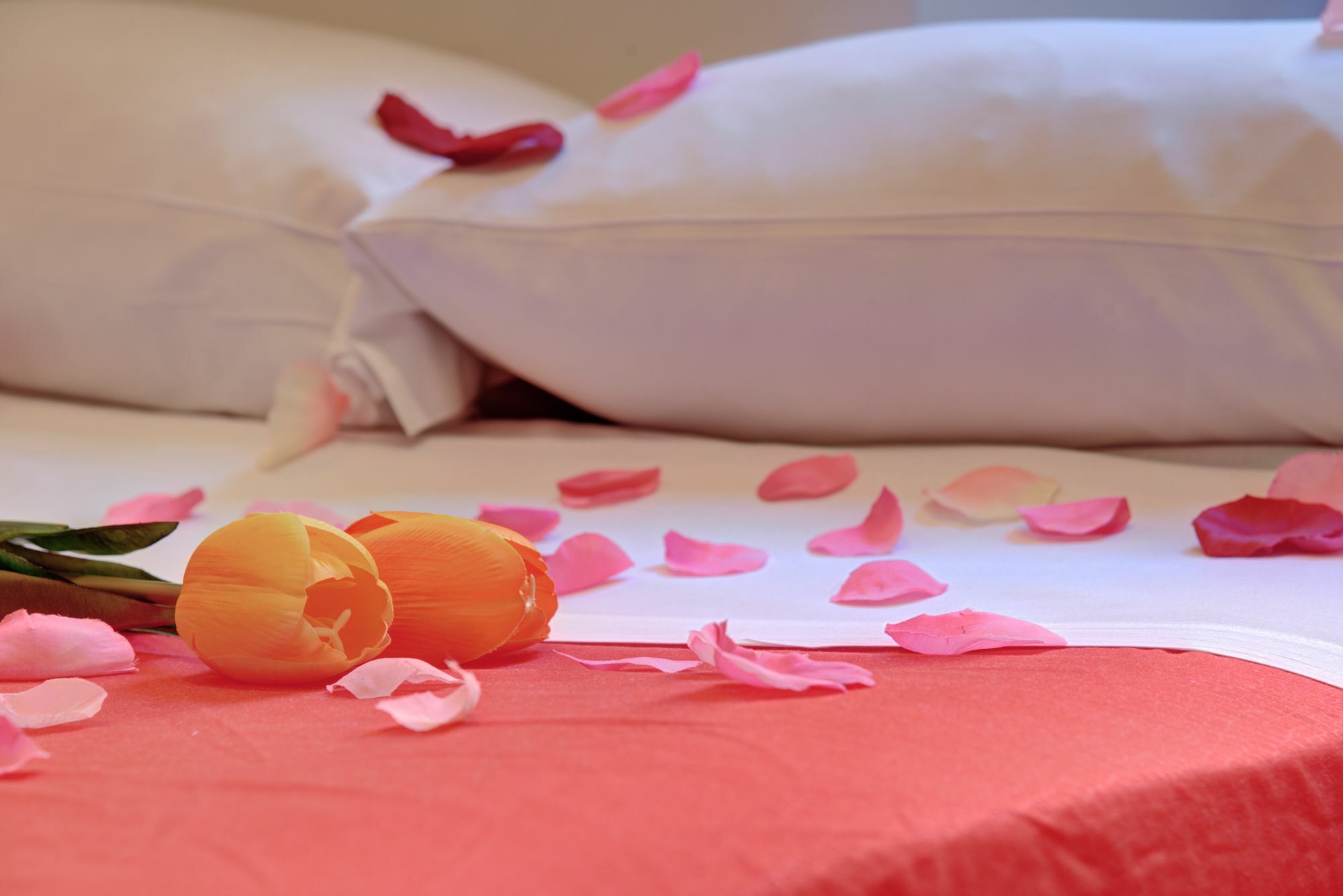 Guest house Ad Hoc 3*