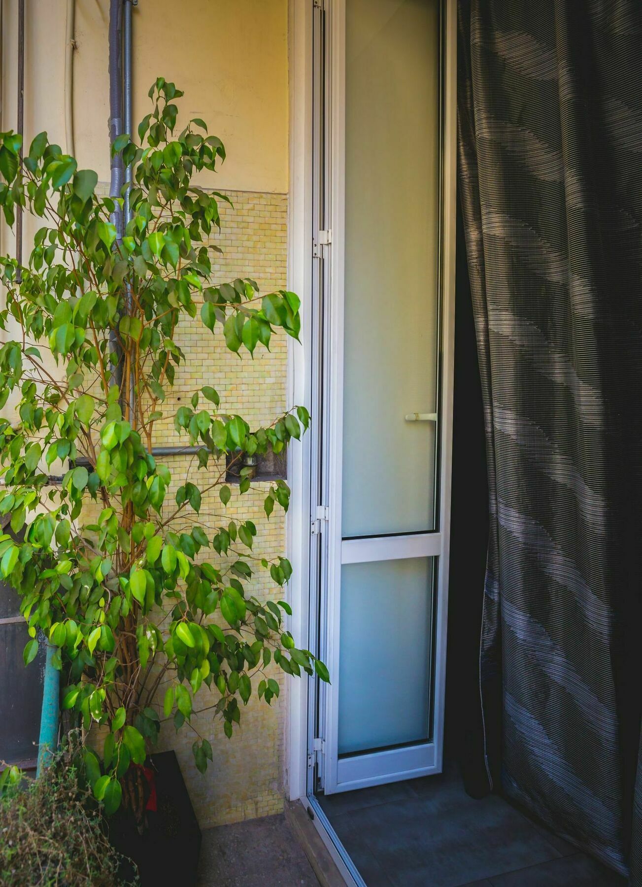 Domus Alberti Bed & Breakfast