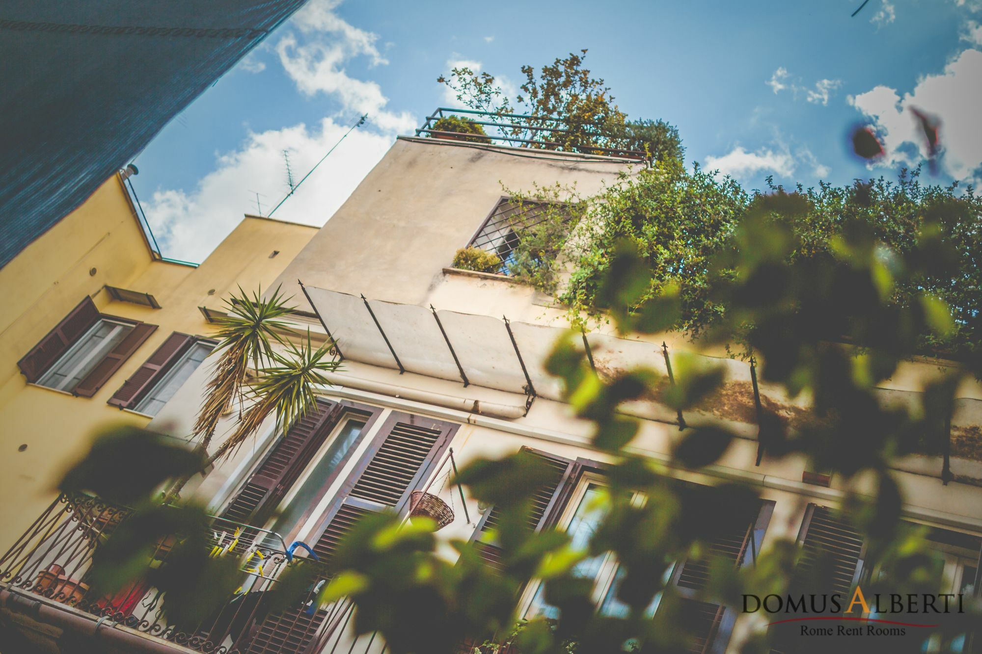 Domus Alberti Bed & Breakfast Rome