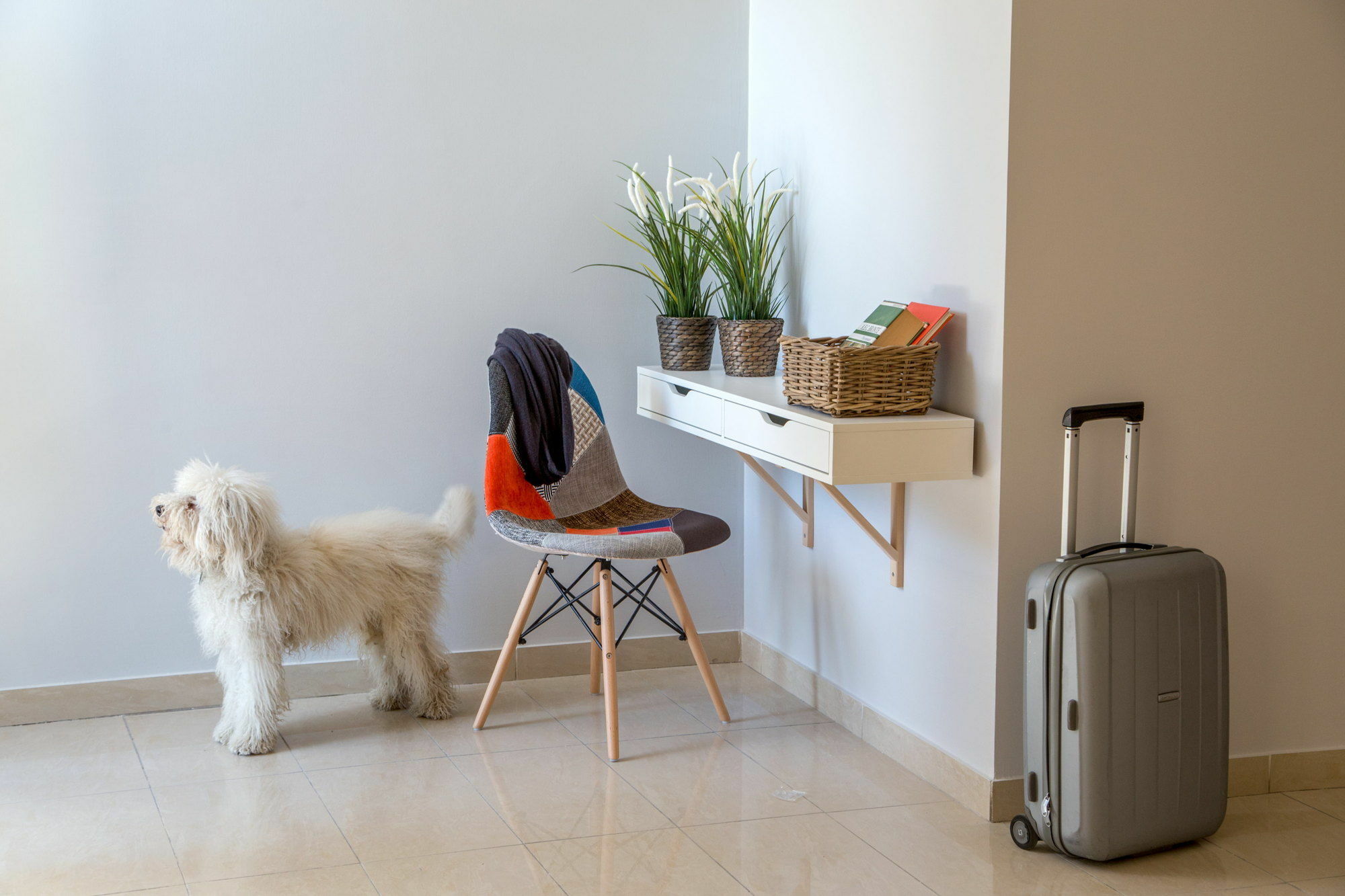 Urban Garden Hotel 3*