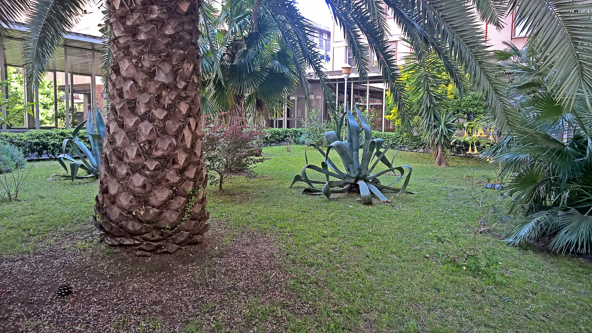 Guest house Ecohouse & Bioveg Cafe Rome