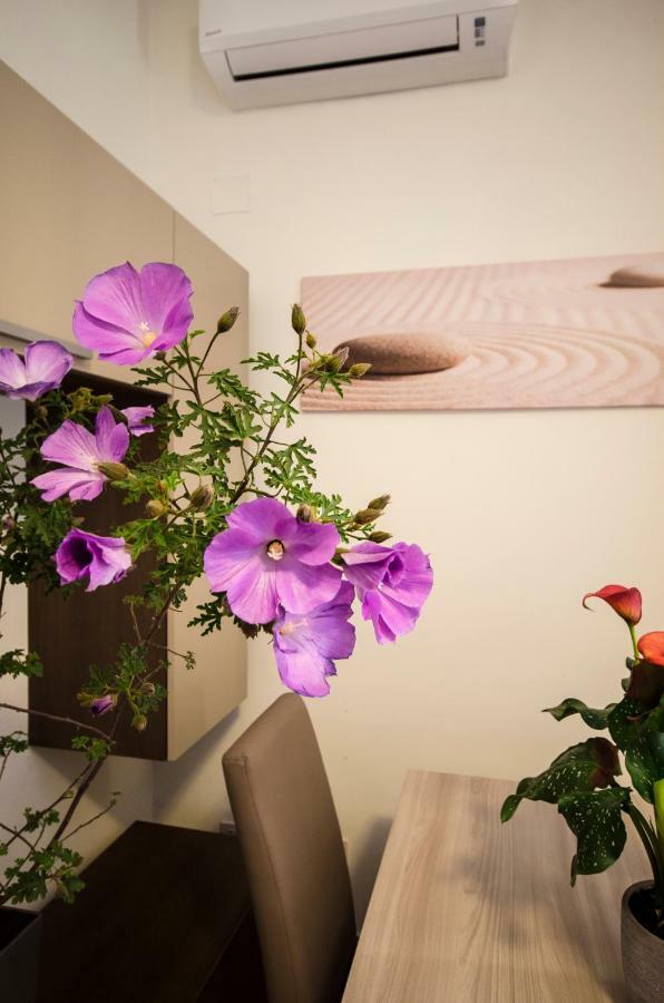 Longinvm Domvs Romanvm Holiday home *