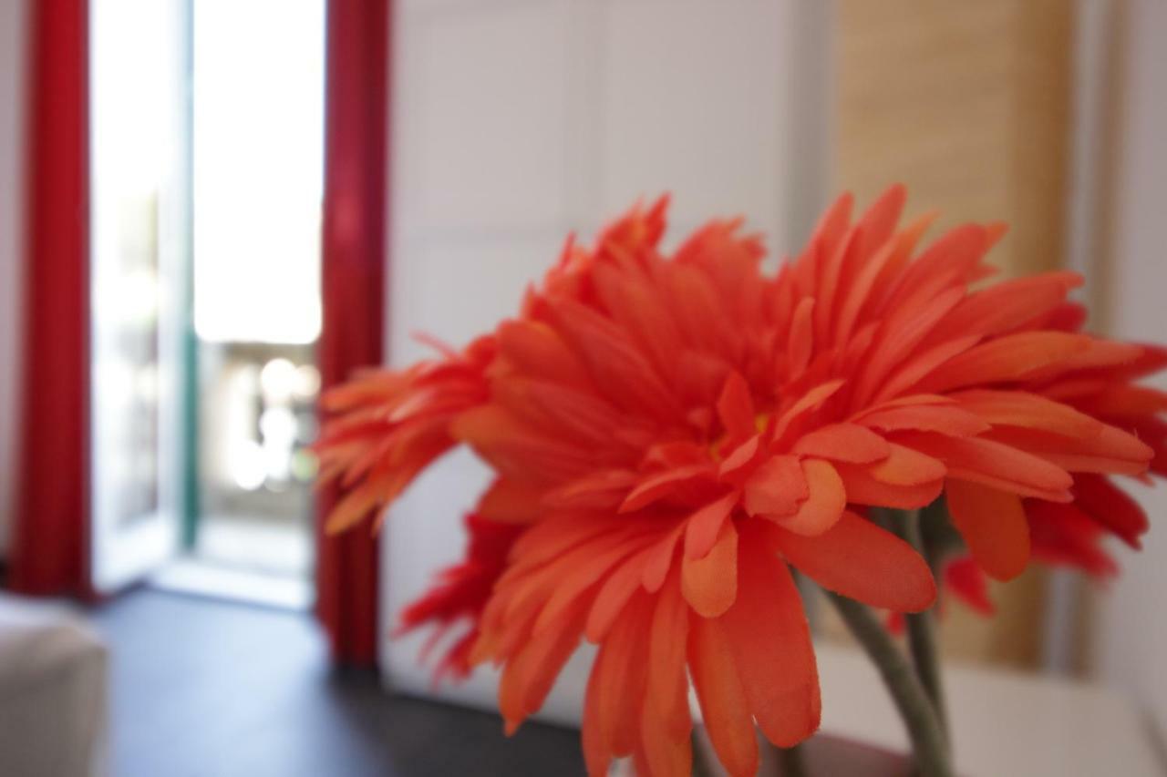 Apartment San Lorenzo Rome