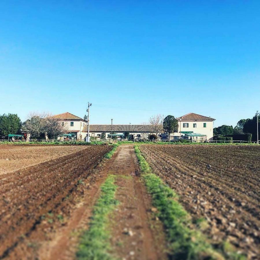 Casale Appio Guest house