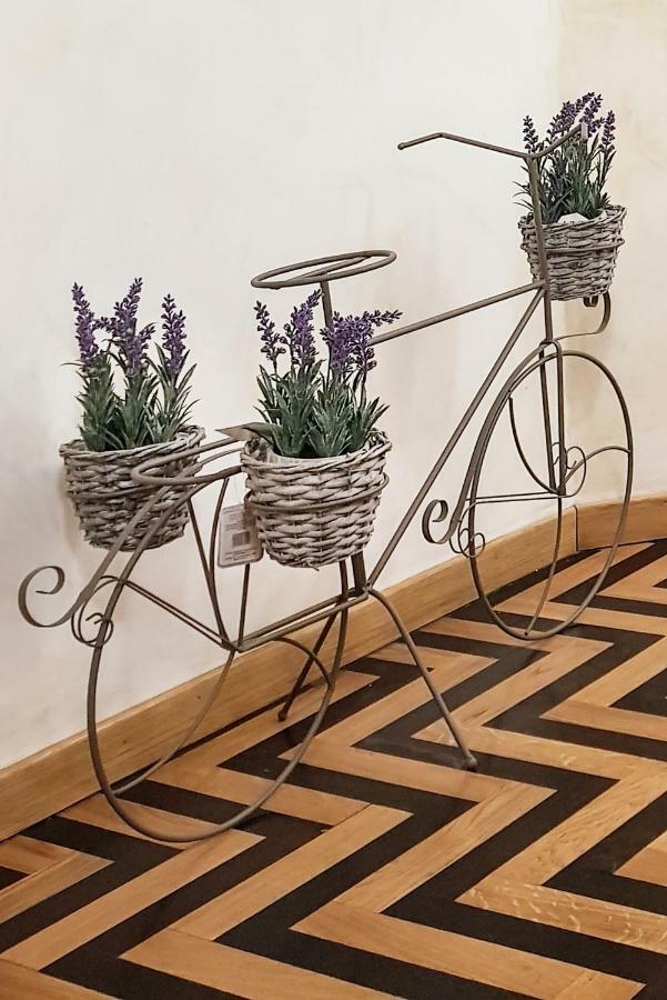 Domus Paradiso Center Apartment Rome