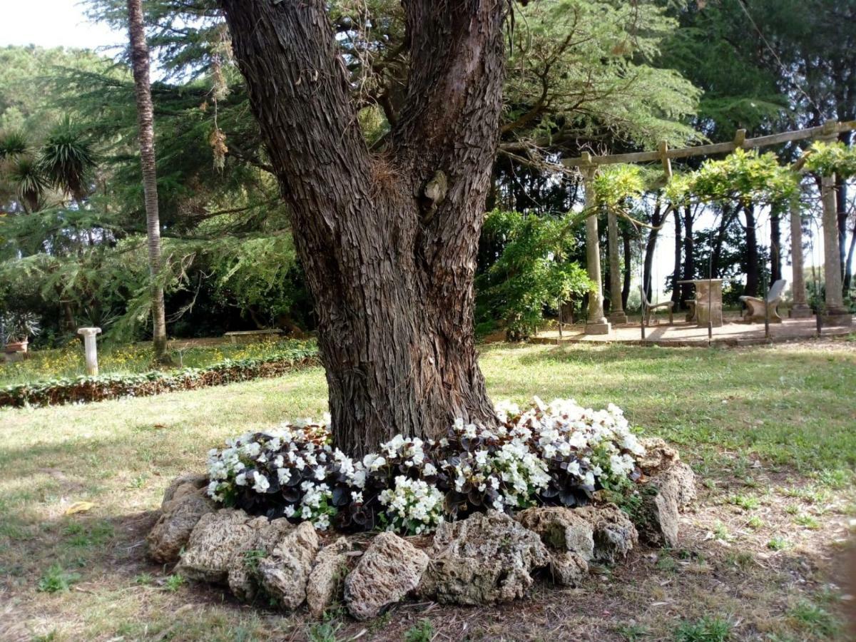 Farm stay - Quarto Del Cuore *