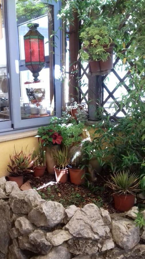 L'attico Incantato - A San Pietro - Holiday home Rome