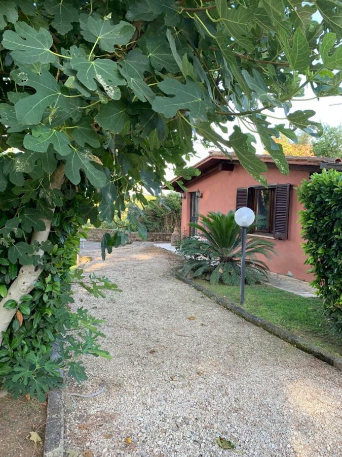 La Casa Di Irene * Roma