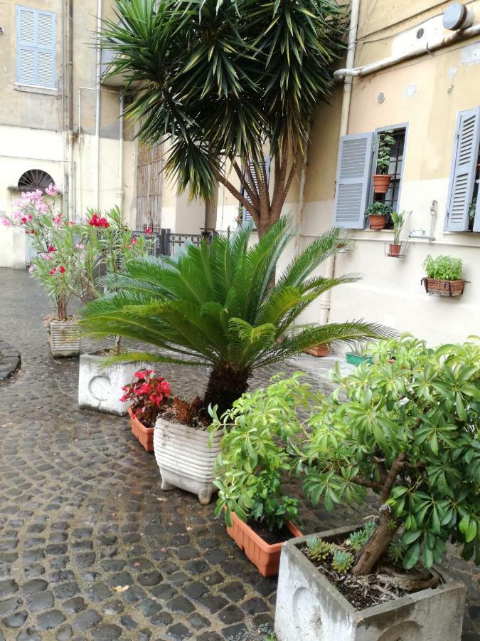 Homestay Trastevere, What Else... *