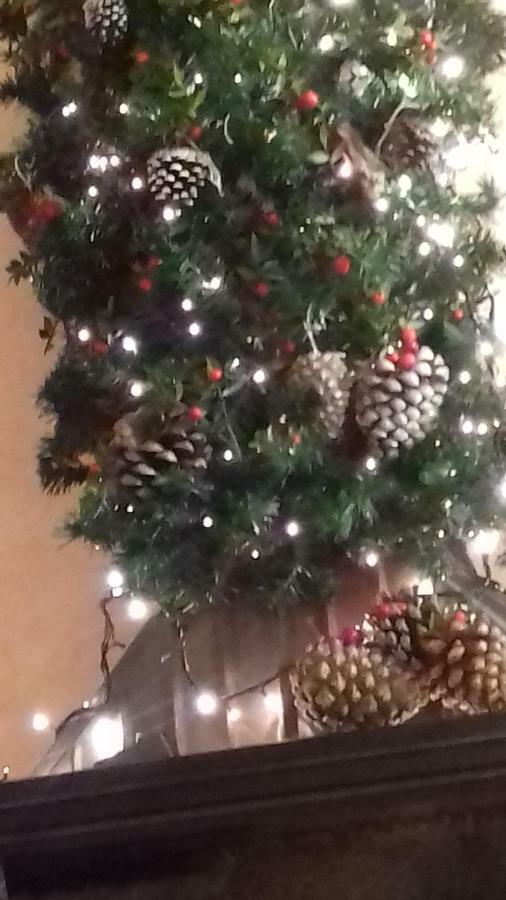 L'attico Incantato - A San Pietro - Holiday home *